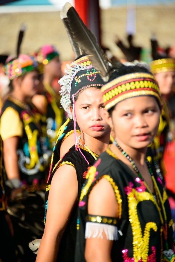 Apa fakta menarik tentang Suku Dayak? Quora