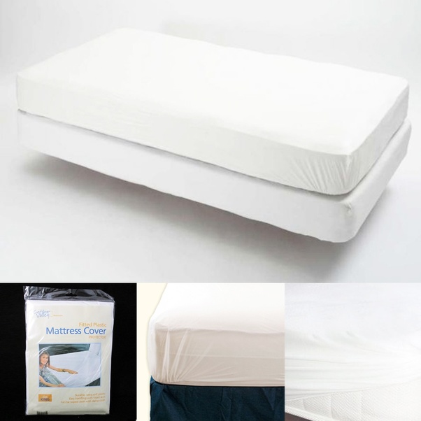 How long would it take for bed bugs to starve if you didn