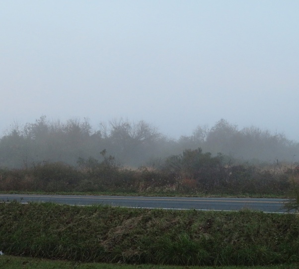 Why can’t we see clearly through fog? Quora