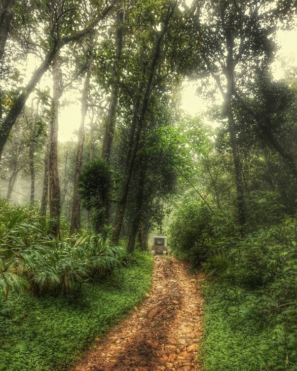 What are the best places to visit in Calicut and Wayanad