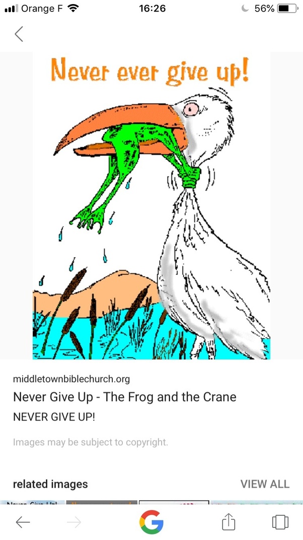 Determination Meaning