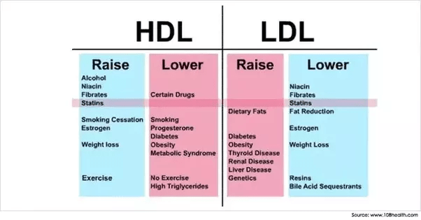 How safe are these HDL, LDL, and triglycerides levels of 34, 110, 170