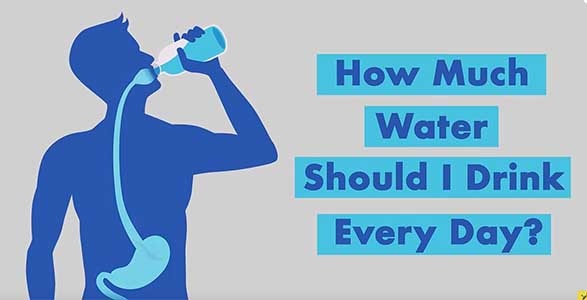 How much water a day is the minimum amount needed to survive? Quora