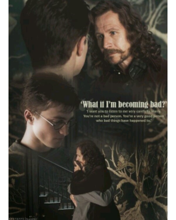 In Harry Potter, did Sirius Black actually die? Quora