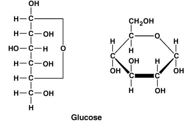 Why could the structure of glucose be demonstrated as a cyclic form and