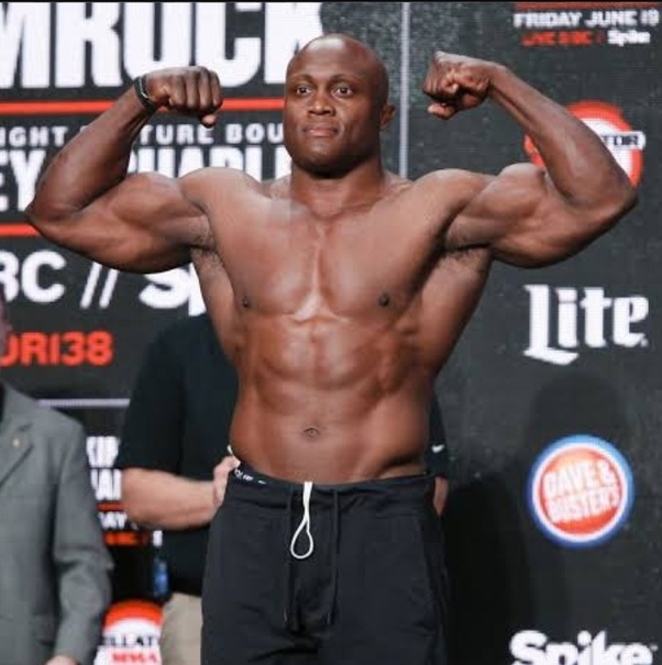 How many other professional wrestlers could follow Brock Lesnar in