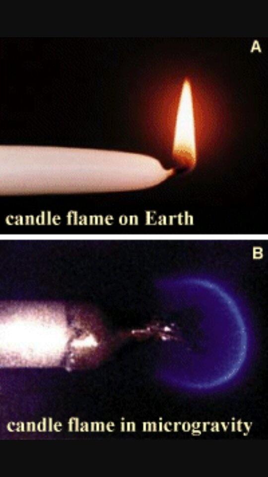 What would be the shape of a candle in a zerogravity environment? Quora