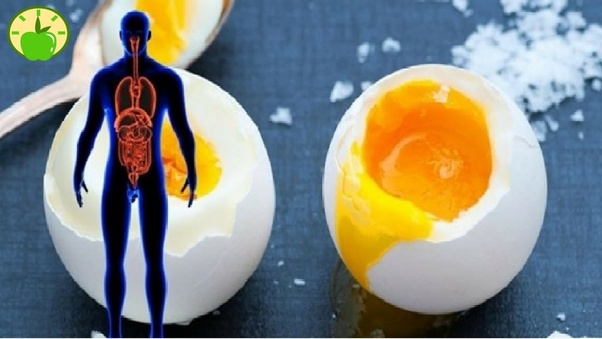 Can we eat eggs when we are sick with coughs and cold? Quora