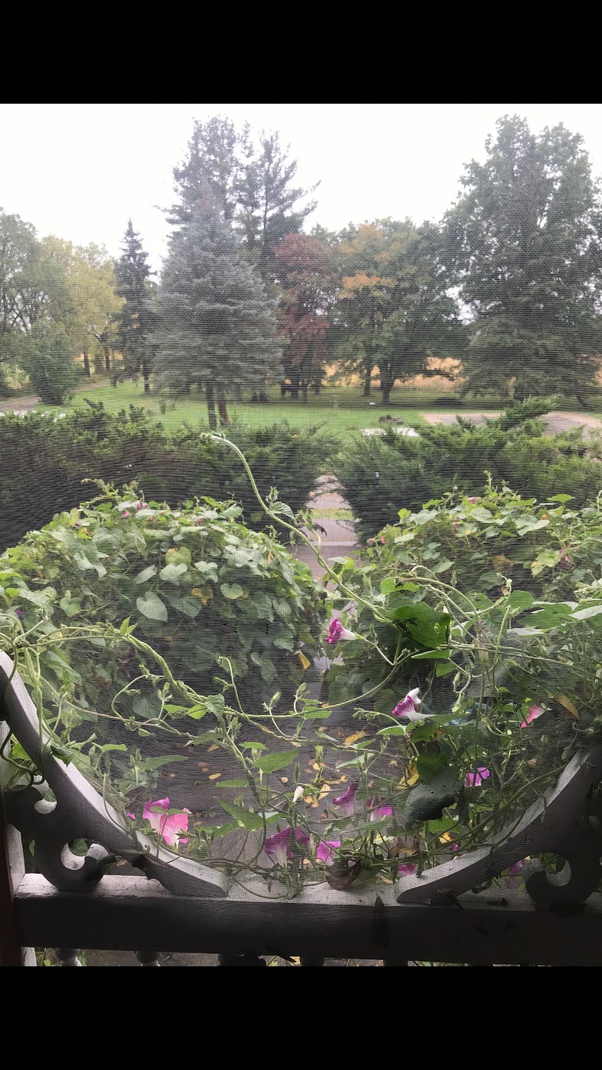 Why does Christmas make me feel both sad and happy? Quora