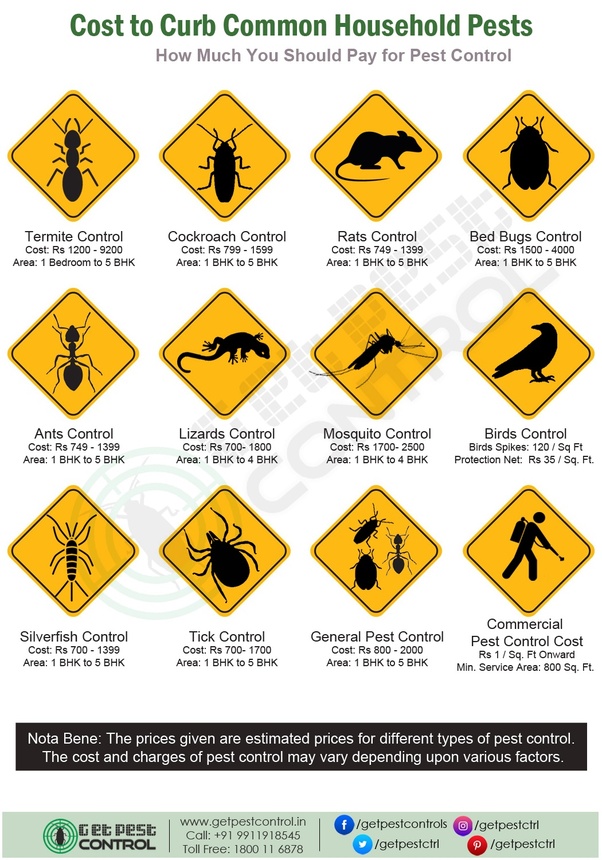 How much does pest control service cost? Quora