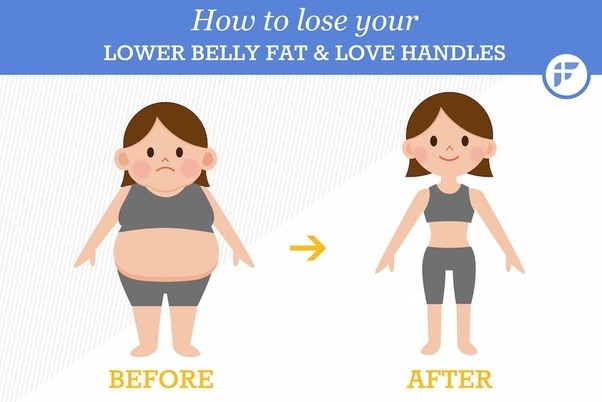 Why do I always have belly fat and love handles? Quora