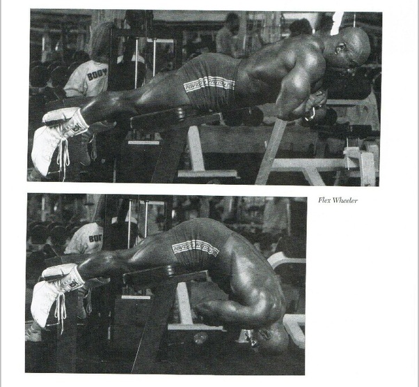 Can I build muscles with pushups and situps? Quora