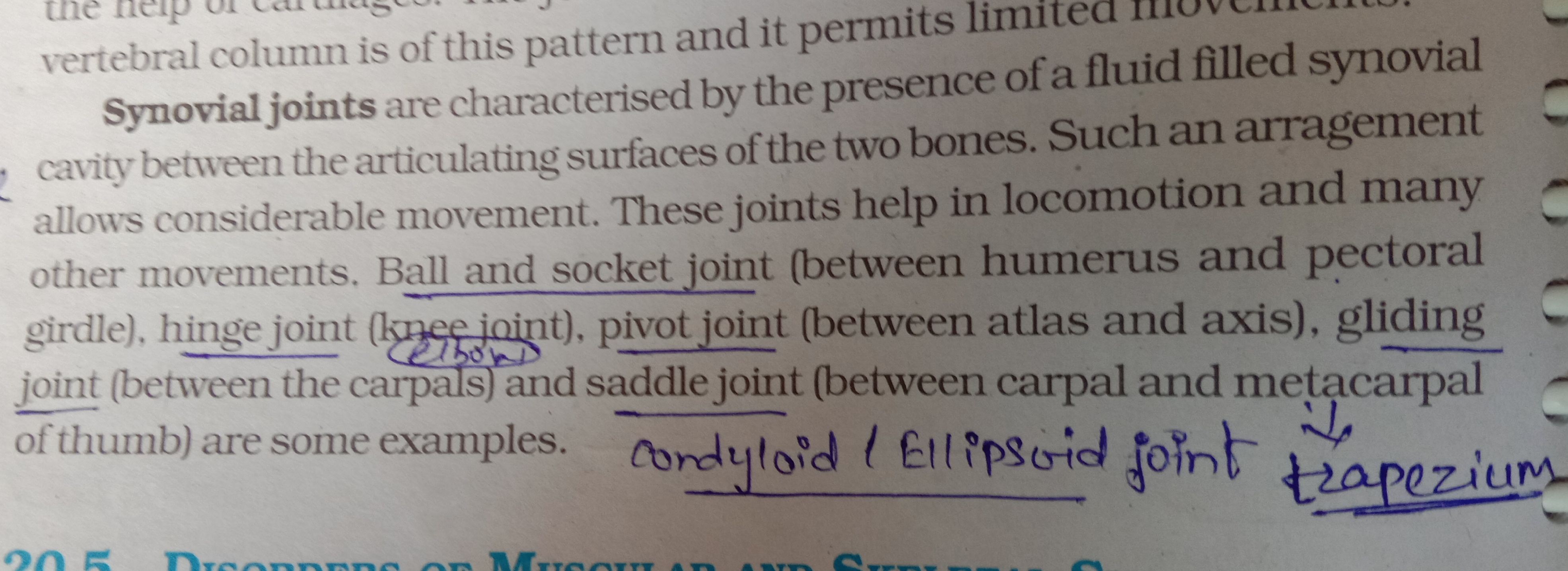 Apa itu cairan sinovial? - Quora