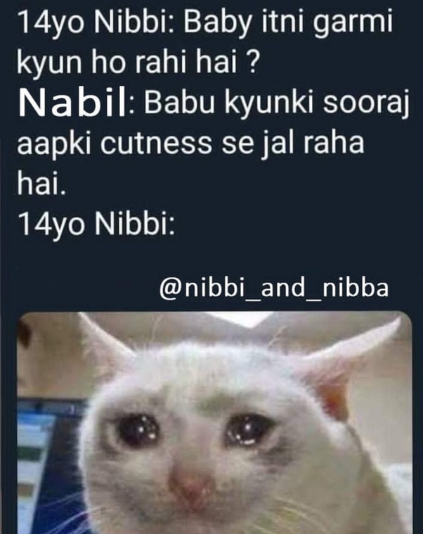 What are the most hilarious nibba and nibbi memes? Quora