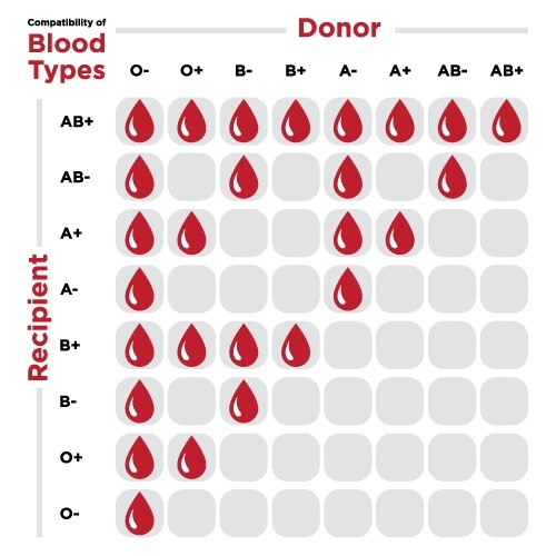 Which blood group can cross match type O blood? Quora