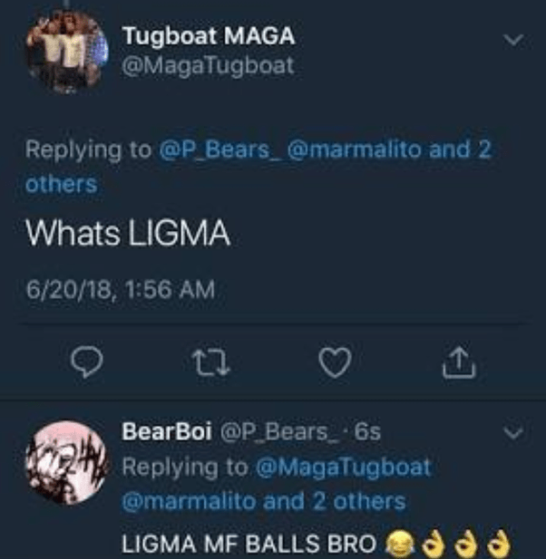 What is Ligma? Quora