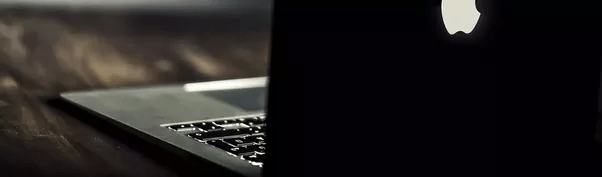 How can a newbie programmer work from home and make money? Is it