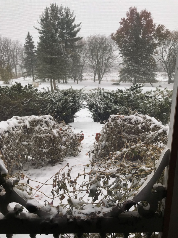 Why does Christmas make me feel both sad and happy? Quora