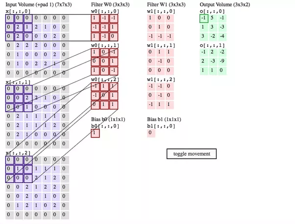 What exactly is meant by shared weights in convolutional neural network