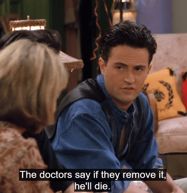 Who Knew They Also Based Chandler Bing On Mike Matei
