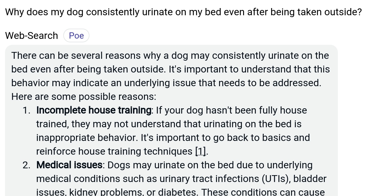 Why does my dog consistently urinate on my bed even after being taken