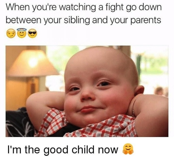 What are the best memes about 'brothers and sisters'? Quora