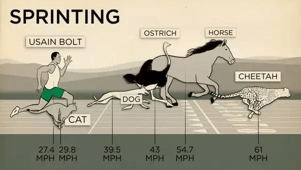 How much speed can a human run? Quora