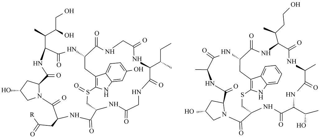 Apakah ada obat penawar bagi seseorang yang memakan jamur mematikan seperti  topi kematian atau malaikat penghancur untuk menyelamatkan hidupnya? - Quora