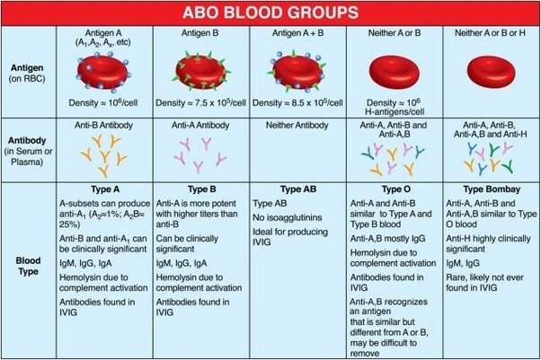 What is the rarest blood type? Quora