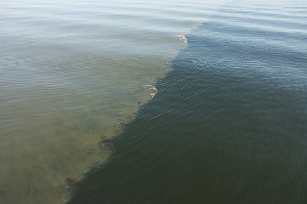 Does the Quran get the mixing of saltwater and freshwater wrong? Quora