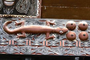 Mengapa ada cicak yang tiba-tiba mati tapi masih dalam keadaan menempel di  dinding? - Quora