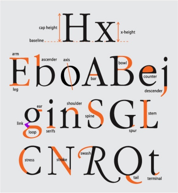 What is a stem in typography? Quora