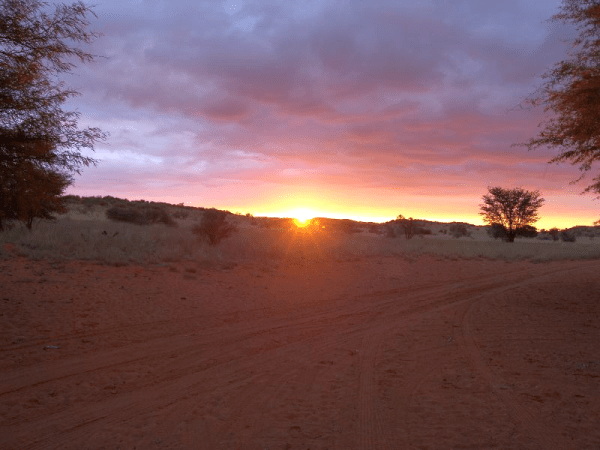 The Okavango Delta in southwestern Africa contains an absolutely