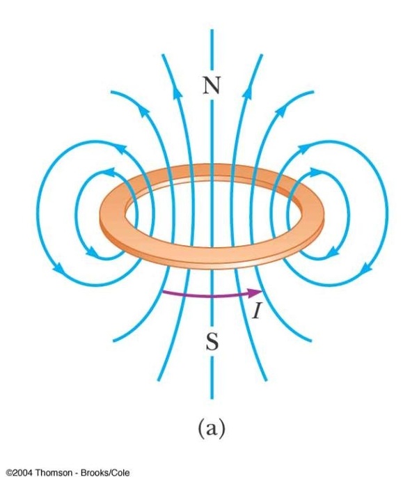 What current carrying loop experiences are in a field torque