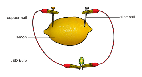 Why do lemons produce electricity? Quora