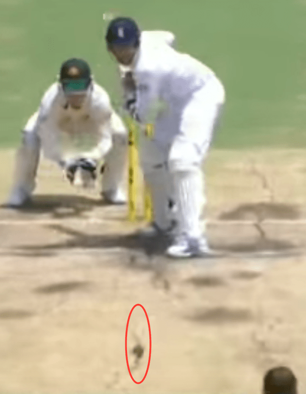 What is the highest spun ball in the history of cricket and by how many