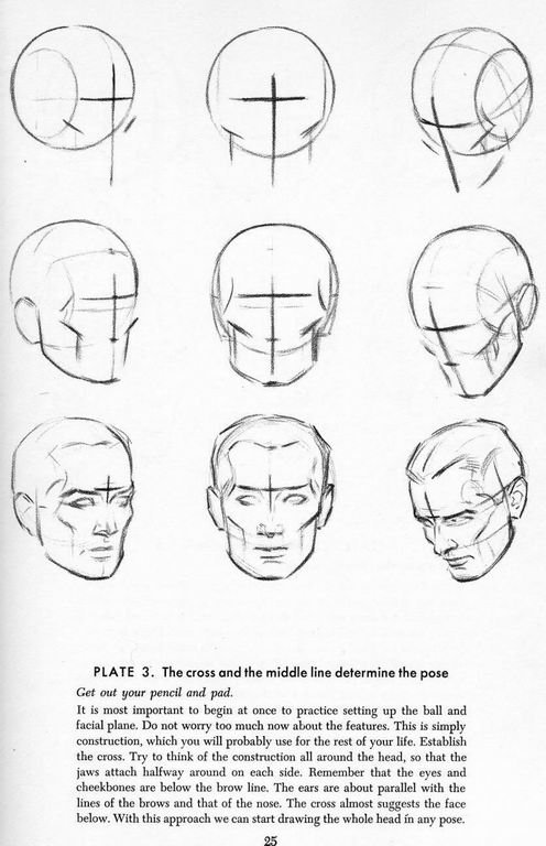 How To Draw A Good Shaped Head - Quora