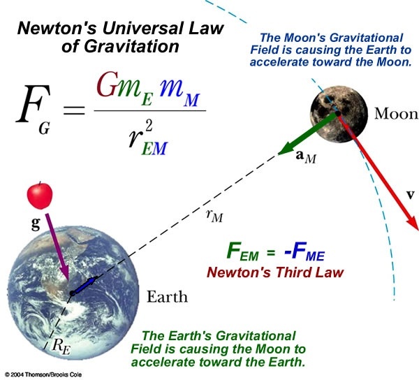 Where is the value of acceleration due to gravity greater, at the poles
