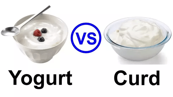What is the difference between yoghurt and curd? Quora