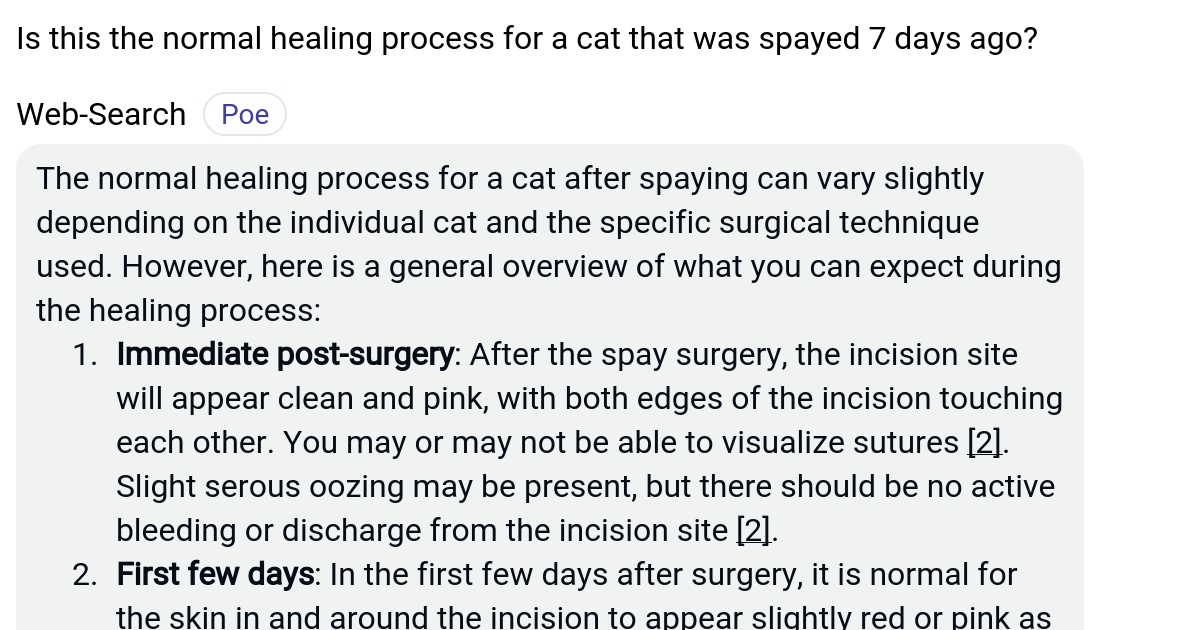 Is this the normal healing process for a cat that was spayed 7 days ago? Poe