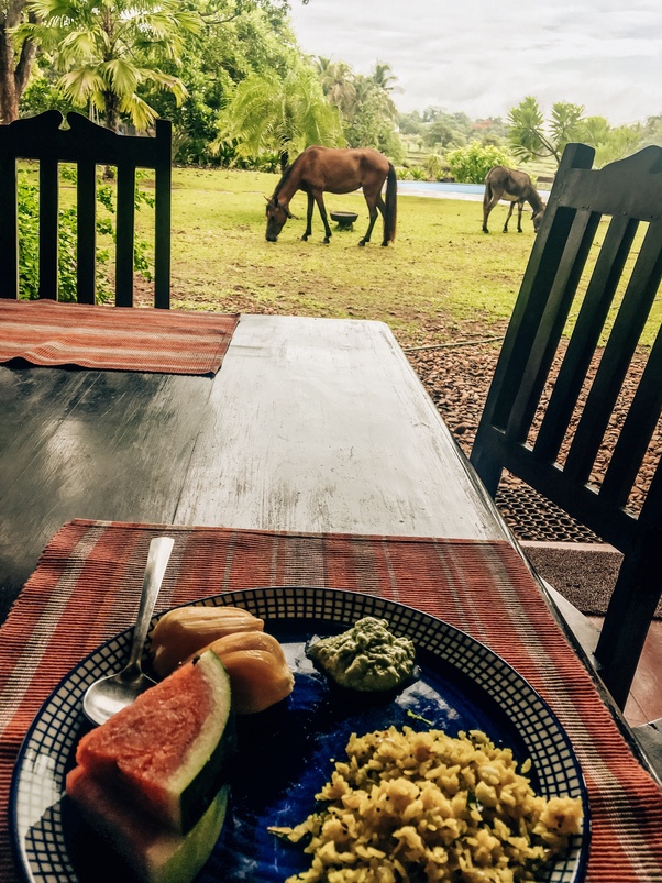 Which are the best luxury places to stay in Goa? Quora