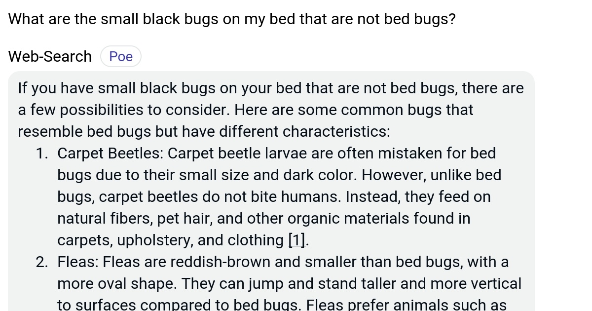 What are the small black bugs on my bed that are not bed bugs? Poe