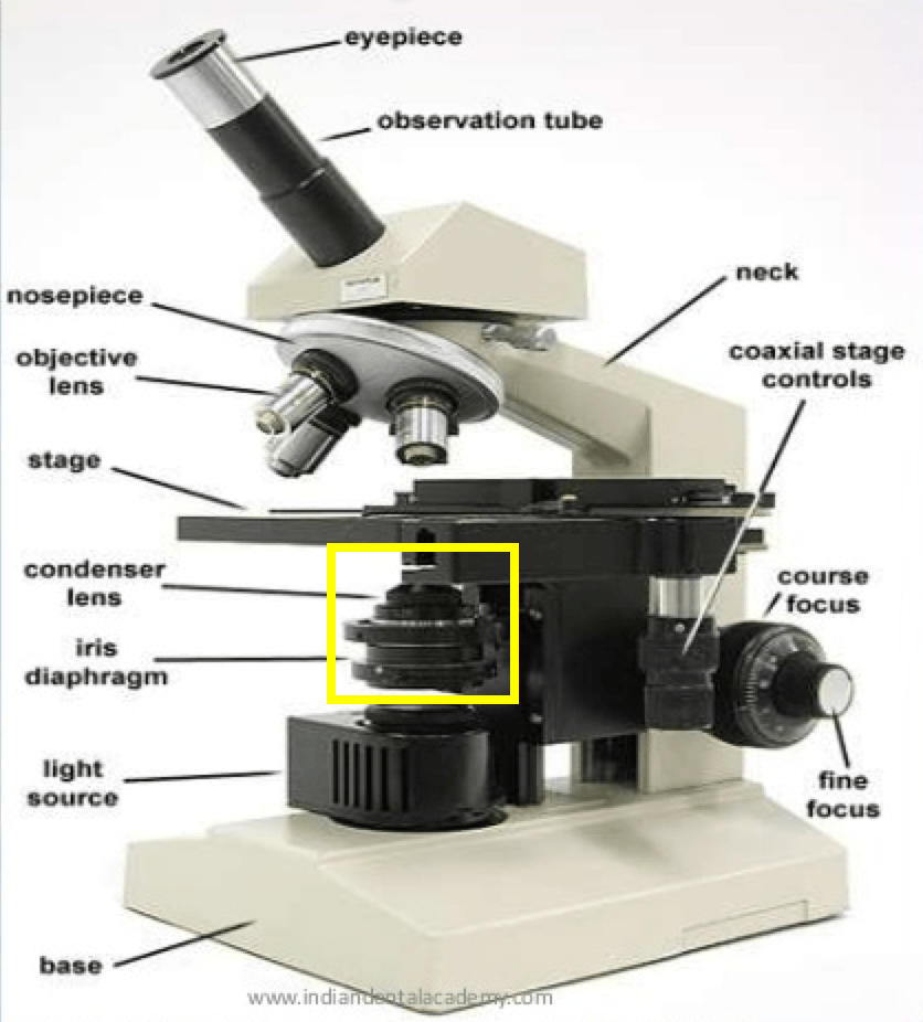 Iris Diaphragm Microscope Function Micropedia