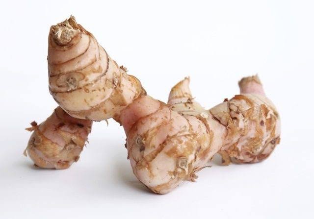 Bagaimana cara membedakan jahe, lengkuas, temulawak, kunyit, dan kencur? -  Quora