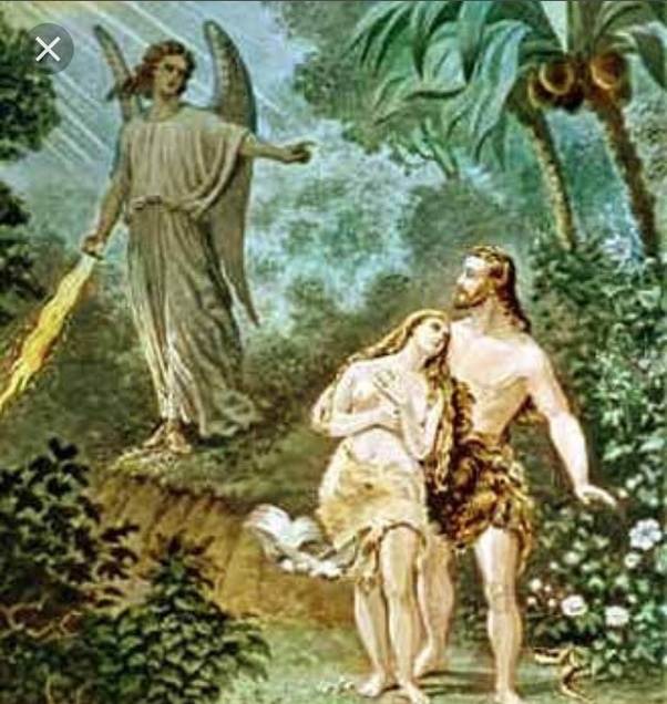 What does the ark in the Bible look like? Quora