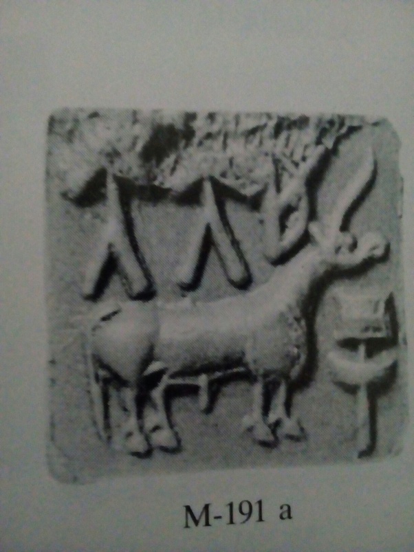 What are the similar patterns of the writing system seen in the Tamil