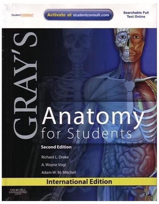 Is Gray�s Anatomy a must buy for a first year MBBS student