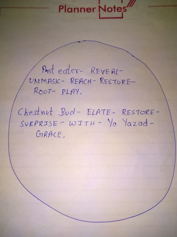 What are switch words? What does EC mean in switch words? Quora