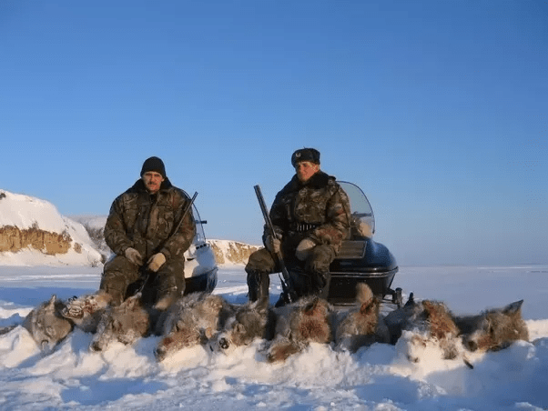 Why do people feel bad about the lawful killing of animals