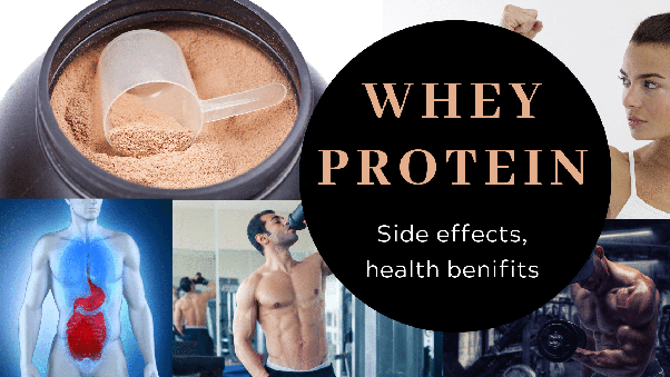 Do protein shakes really help? Quora